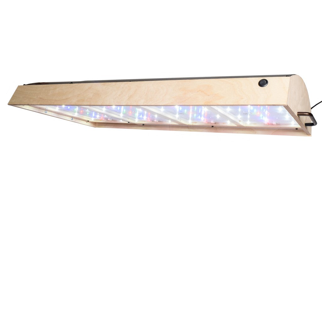 LED Ditto Max - Winner of the NM Growers Cup! – LED Habitats